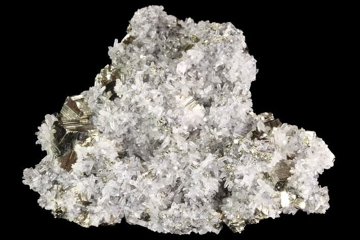 Gleaming Cubic Pyrite Cluster with Quartz - Peru #94387